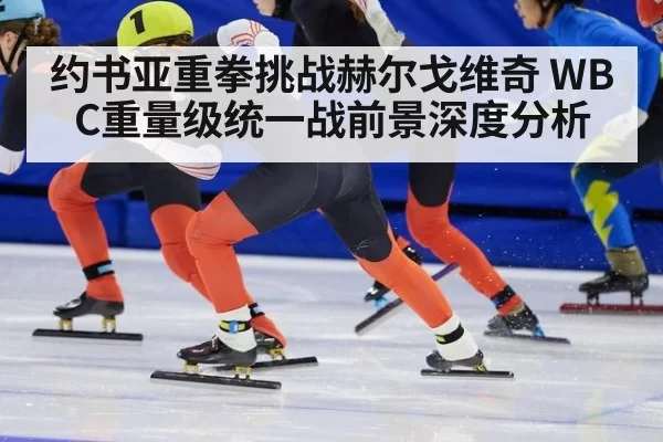 约书亚重拳挑战赫尔戈维奇 WBC重量级统一战前景深度分析